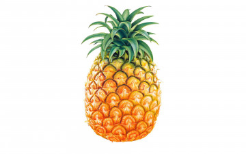 Картинка рисованное еда ананас фрукт