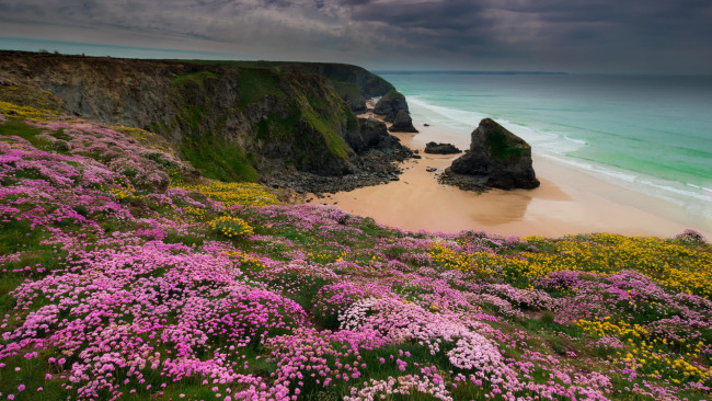 Обои картинки фото cornwall, природа, побережье