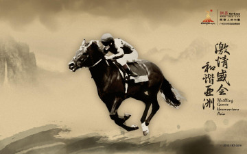 Картинка спорт конный