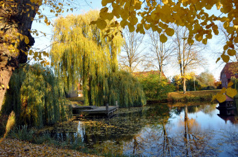 Картинка природа реки озера осень листья дома деревья водоем