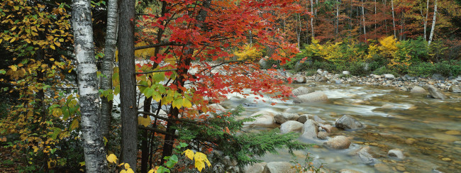 Обои картинки фото природа, реки, озера, река, деревья, осень, камни