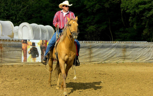Обои картинки фото мужчины, unsort, лошадь, ковбой, родео