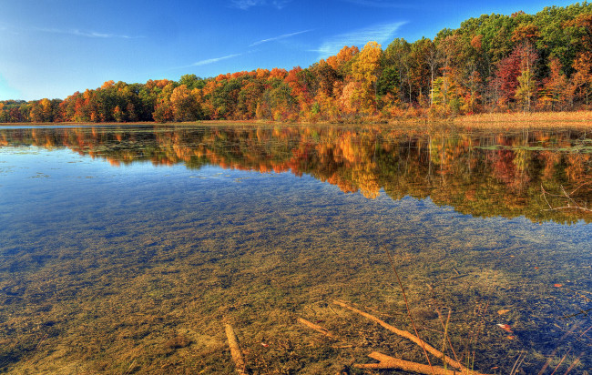 Обои картинки фото природа, реки, озера, дно, деревья, осень
