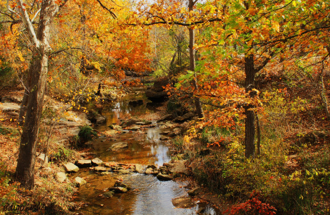 Обои картинки фото природа, реки, озера, осень, лес
