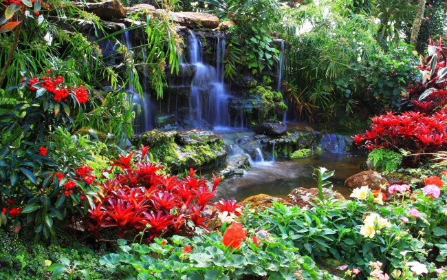 Обои картинки фото природа, парк, водопад, цветы