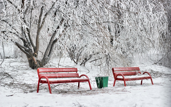 Обои картинки фото природа, зима, скамейки, парк, снег