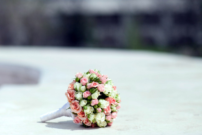 Обои картинки фото цветы, розы, букет, невесты