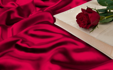 Картинка цветы розы rose red шёлк роза silk romantic книга складки
