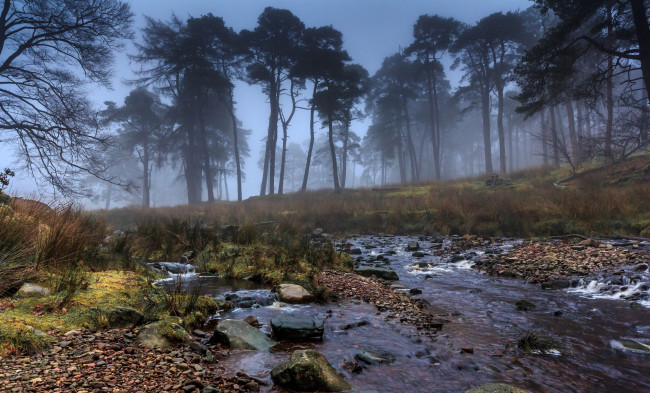 Обои картинки фото природа, реки, озера, камни, ручей, туман, деревья