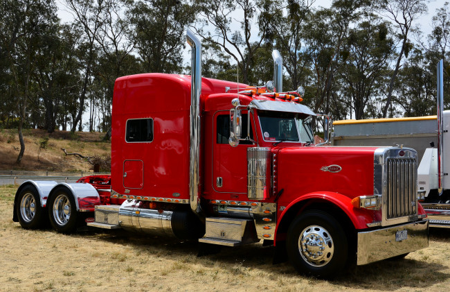 Обои картинки фото peterbilt, автомобили, грузовик, тяжелый, тягач, седельный