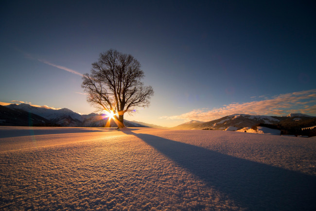 Обои картинки фото природа, восходы, закаты, солнце, дерево, снег, зима, австрия
