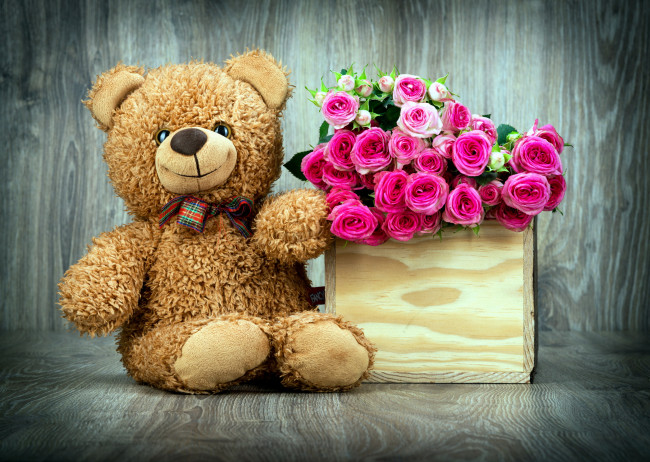 Обои картинки фото цветы, розы, розовый, бант, медвежонок