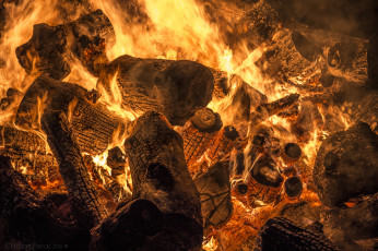 Картинка природа огонь дрова костёр