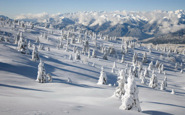 Картинка природа зима склон ёлки облака горы деревья снег