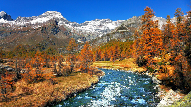 Обои картинки фото природа, реки, озера, траскуэра, пьмонт, италия, горы, снег, река, деревья, осень