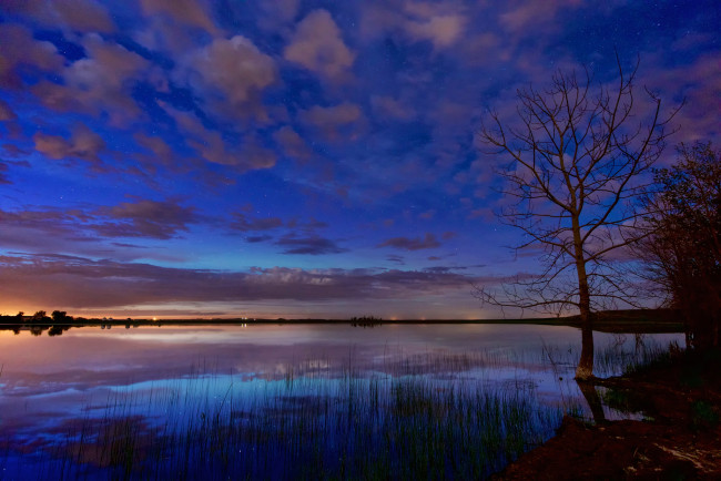 Обои картинки фото природа, реки, озера, зарево, дерево, озеро, облака, звезды, ночь, рассвет