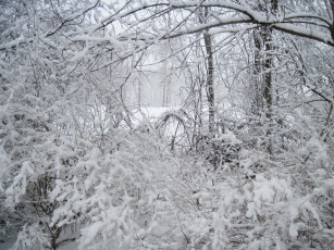 Картинка природа зима мороз winter сугробы frost snow снег
