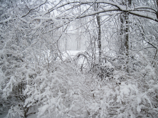 Обои картинки фото природа, зима, мороз, winter, сугробы, frost, snow, снег