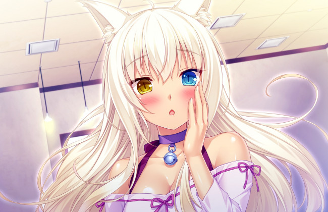 Обои картинки фото аниме, nekopara, фон, взгляд, девушка