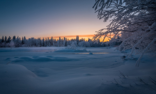 Обои картинки фото природа, зима, финляндия, лес, river, lapland, лапландия, закат, деревья, снег, finland, река