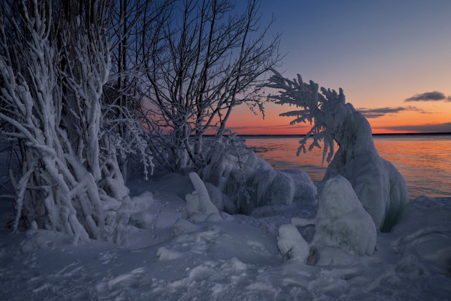 Обои картинки фото природа, зима, ontario, закат, залив, уайтфиш, whitefish, bay, canada, онтарио, озеро, верхнее, lake, superior, канада, снег, деревья