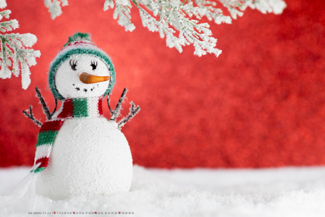 Обои картинки фото календари, праздники,  салюты, ветка, шарф, шапка, снеговик