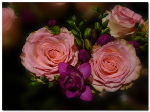 Картинка цветы разные вместе розы