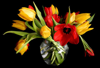Картинка цветы тюльпаны ваза букет