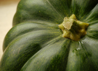 Картинка еда овощи зелёная макро большая тыква