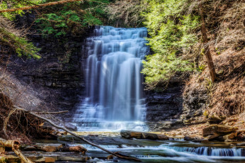 Картинка природа водопады каскад водопад обрыв река лес