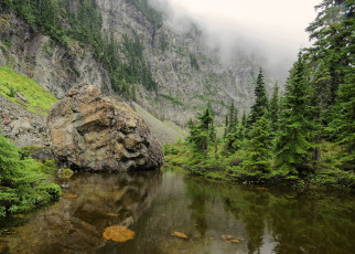 Картинка природа реки озера река лес туман скалы