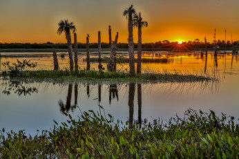 Картинка природа восходы закаты заря озеро пальмы