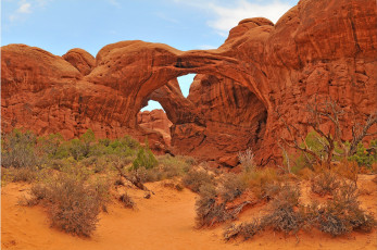 Картинка природа горы небо арка скалы кусты сша uta arches national park деревья