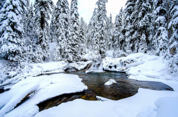 Картинка природа зима речка сугробы снег ели