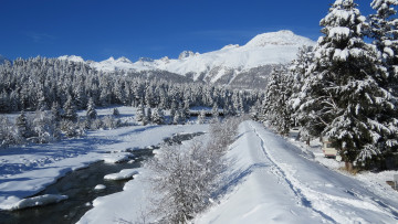 Картинка природа зима река горы сугробы снег ели