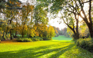 Картинка природа парк красивая сцена солнечные лучи осенний солнечный свет лес зеленый поле деревья трава пейзаж