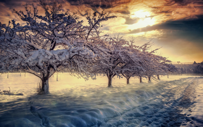 Обои картинки фото природа, зима, небо, облака, восход, снег, пейзаж