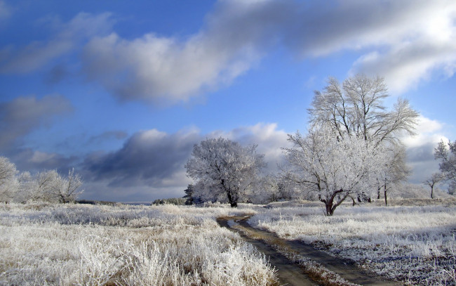 Обои картинки фото природа, зима, облака, деревья, иней, поле, дорога