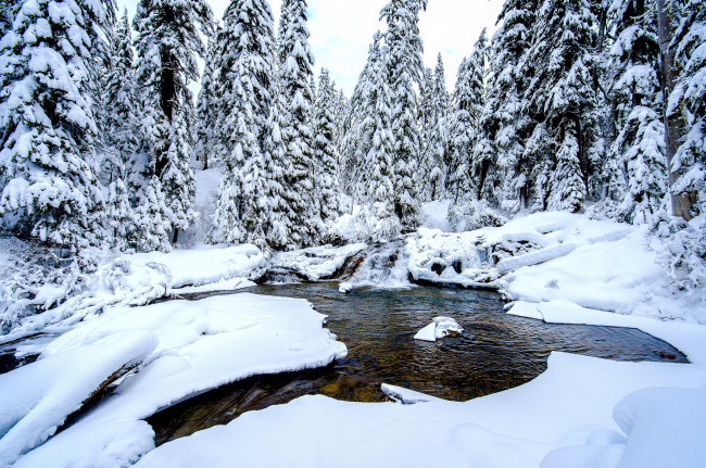 Обои картинки фото природа, зима, речка, сугробы, снег, ели