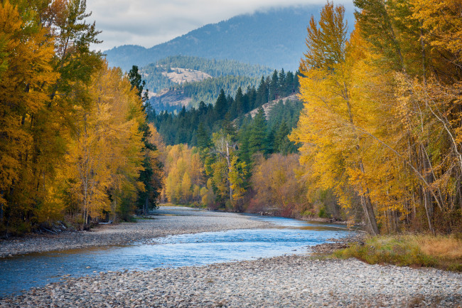 Обои картинки фото природа, реки, озера, сша, штат, вашингтон, горы, лес, река, осень
