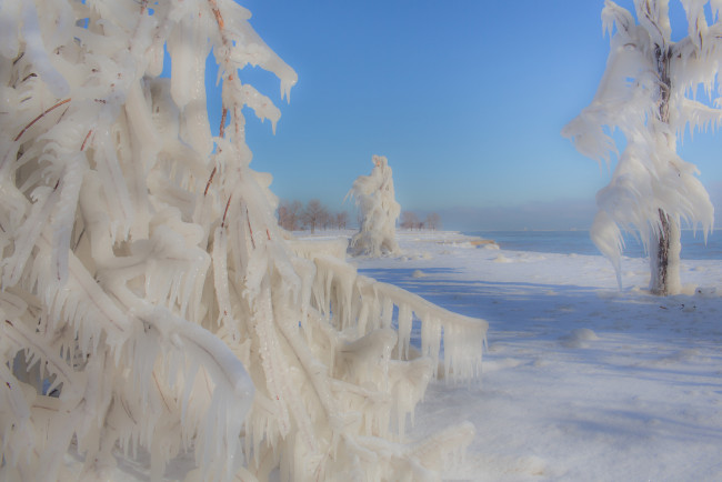 Обои картинки фото природа, зима, деревья, обледенение, лёд