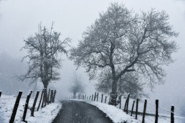 Обои картинки фото природа, зима, контраст, снег, ограда, дорога, ветки, белый, чёрный, деревья