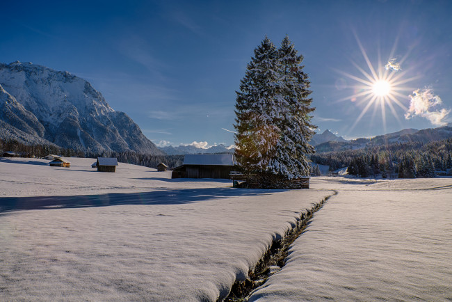 Обои картинки фото природа, зима, поле, солнце, снег