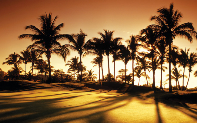 Обои картинки фото природа, тропики, golf, palms, sunrise, club