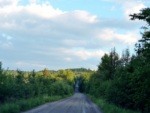 Картинка природа дороги деревья сельская дорога
