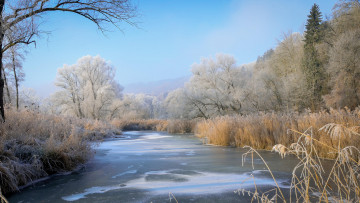 Картинка природа реки озера деревья река снег