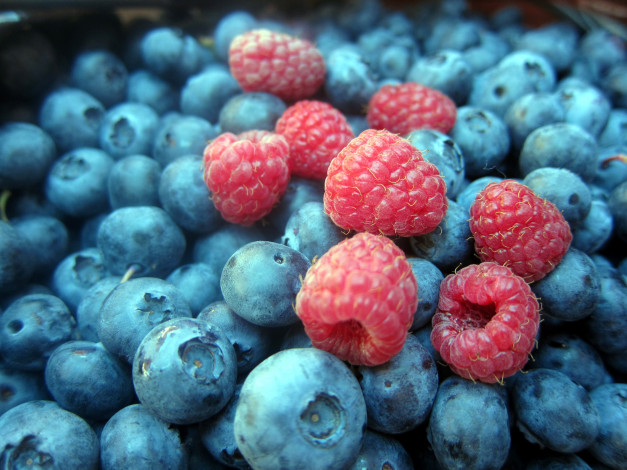 Обои картинки фото еда, фрукты,  ягоды, черника, малина, ягоды