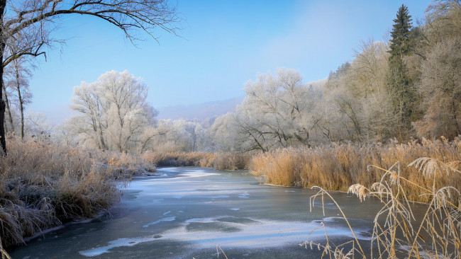Обои картинки фото природа, реки, озера, деревья, река, снег