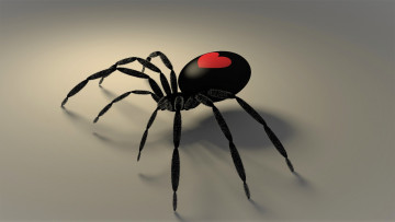 Картинка 3д+графика животные+ animals паук