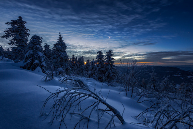 Обои картинки фото природа, зима, снег, деревья, ночь, облака
